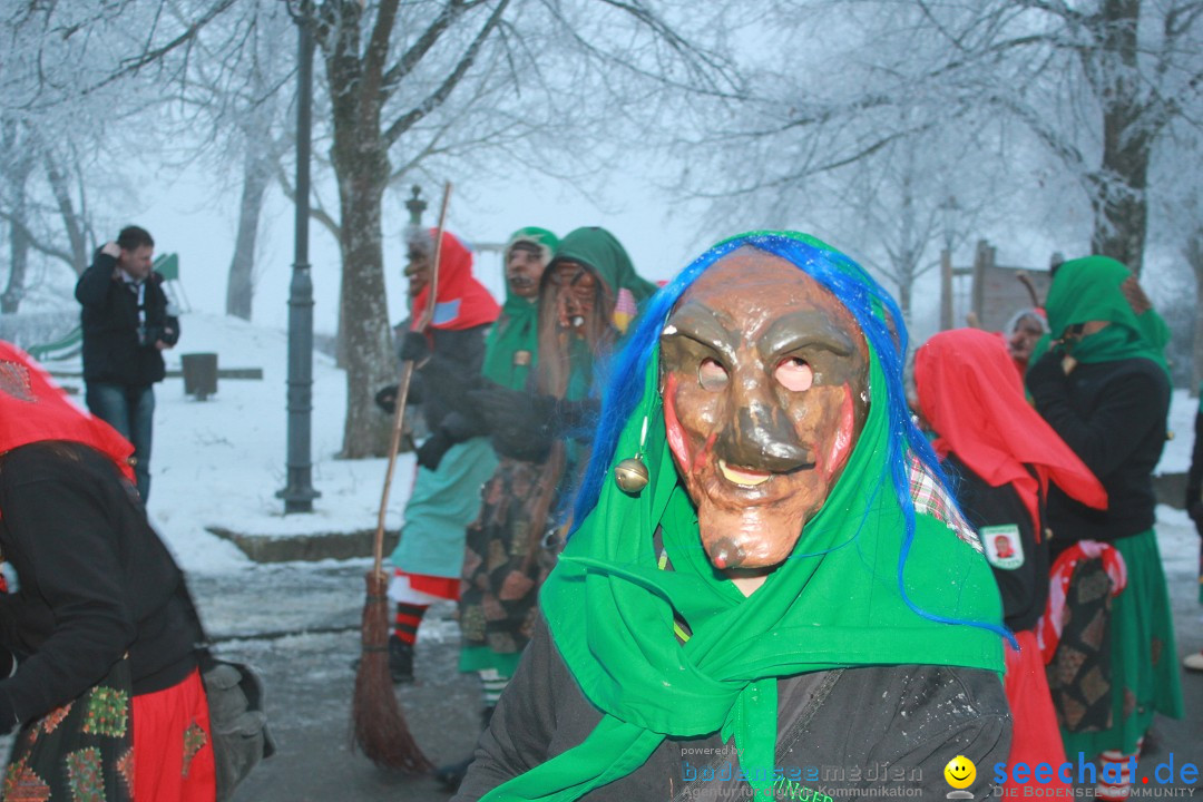 HoTaBo-Narro Umzug und Party: Hohenbodman am Bodensee, 21.01.2017
