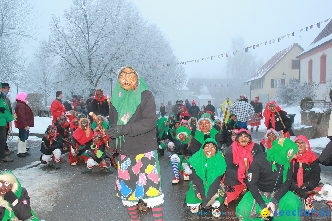 HoTaBo-Narro Umzug und Party: Hohenbodman am Bodensee, 21.01.2017