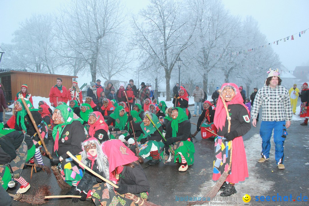 HoTaBo-Narro Umzug und Party: Hohenbodman am Bodensee, 21.01.2017