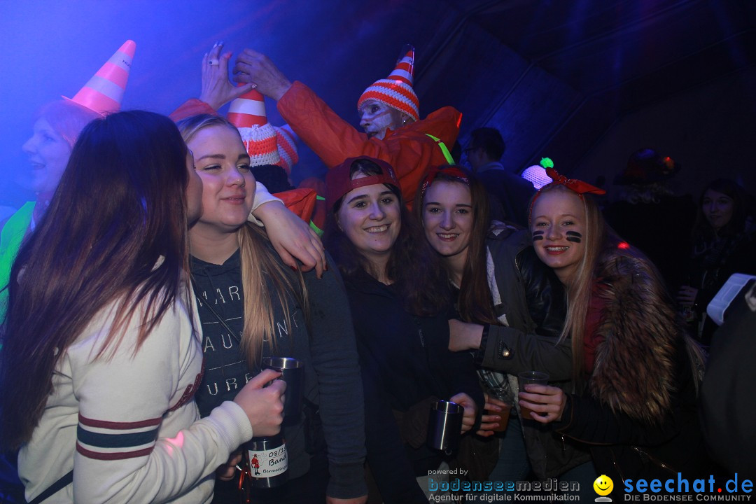 HoTaBo-Narro Umzug und Party: Hohenbodman am Bodensee, 21.01.2017