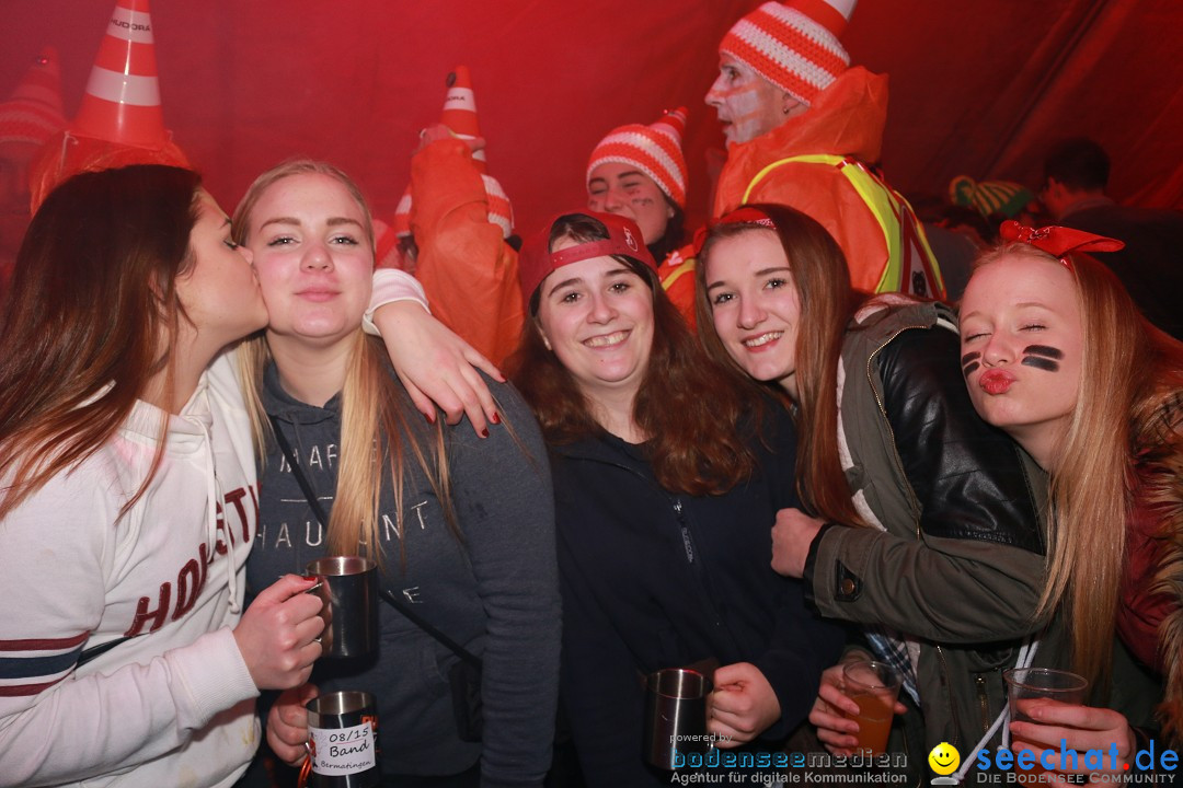 HoTaBo-Narro Umzug und Party: Hohenbodman am Bodensee, 21.01.2017