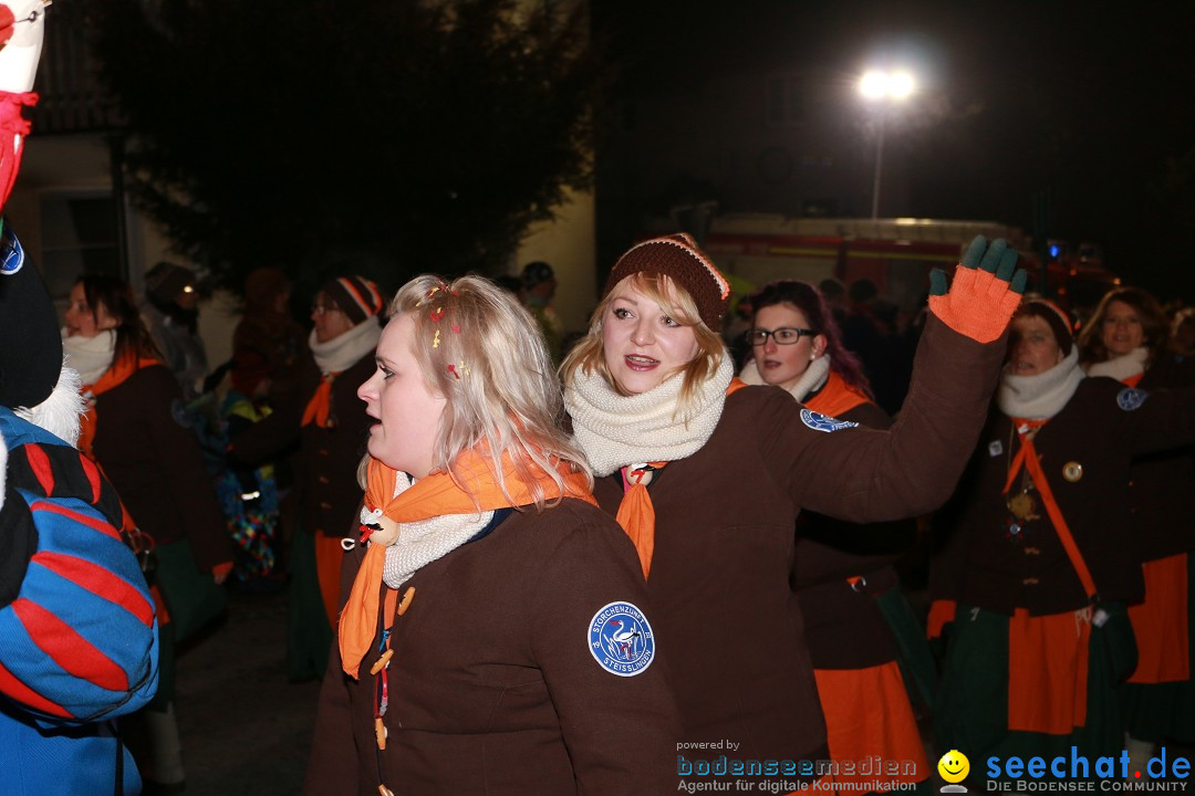 Nachtumzug: Wahlwies am Bodensee, 21.01.2017