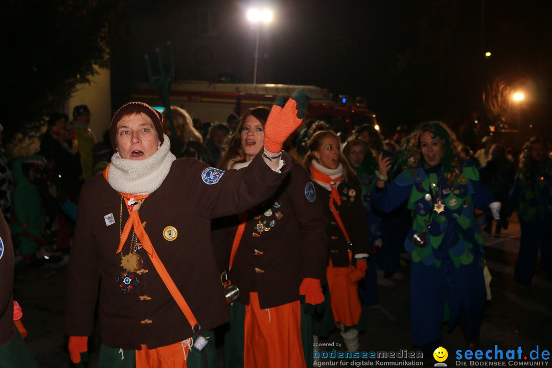Nachtumzug: Wahlwies am Bodensee, 21.01.2017