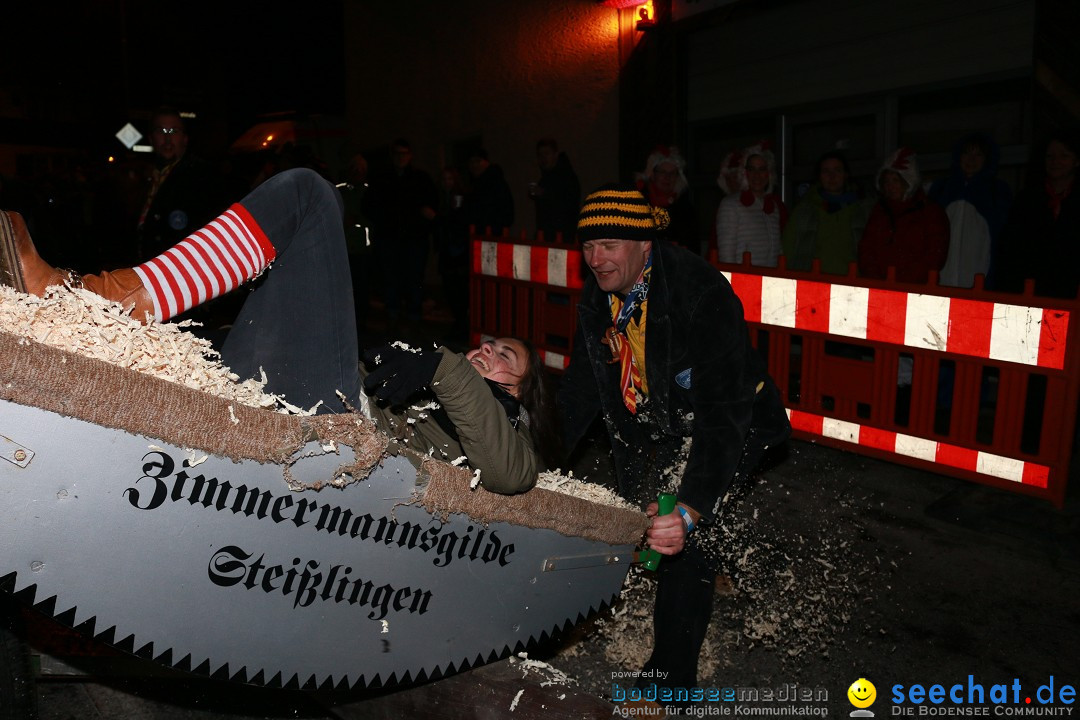 Nachtumzug: Wahlwies am Bodensee, 21.01.2017