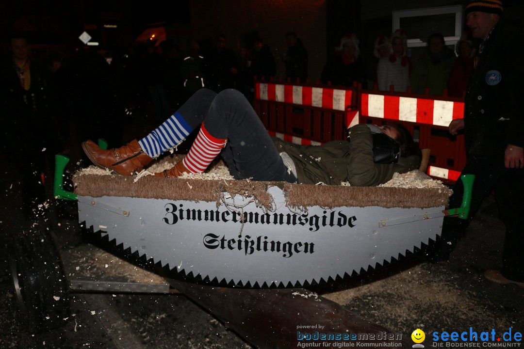 Nachtumzug: Wahlwies am Bodensee, 21.01.2017