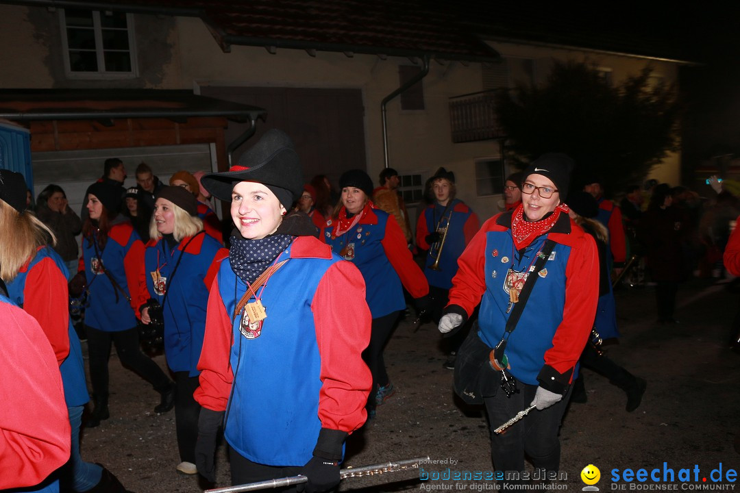 Nachtumzug: Wahlwies am Bodensee, 21.01.2017