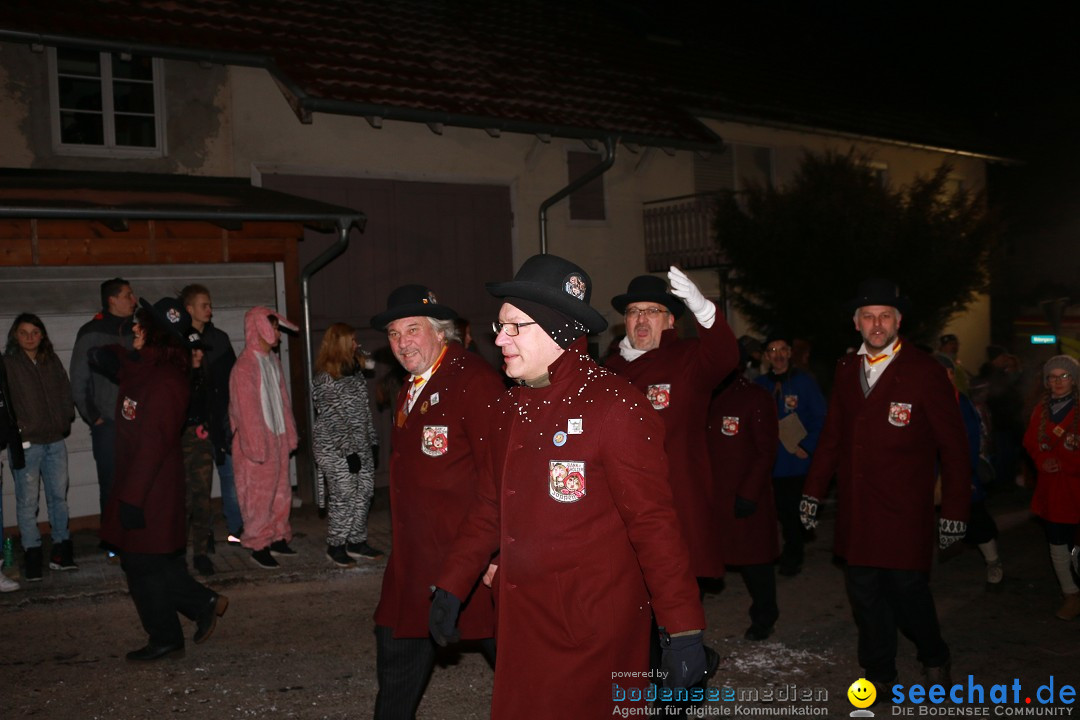 Nachtumzug: Wahlwies am Bodensee, 21.01.2017