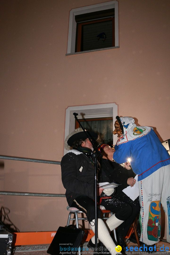 Nachtumzug: Wahlwies am Bodensee, 21.01.2017