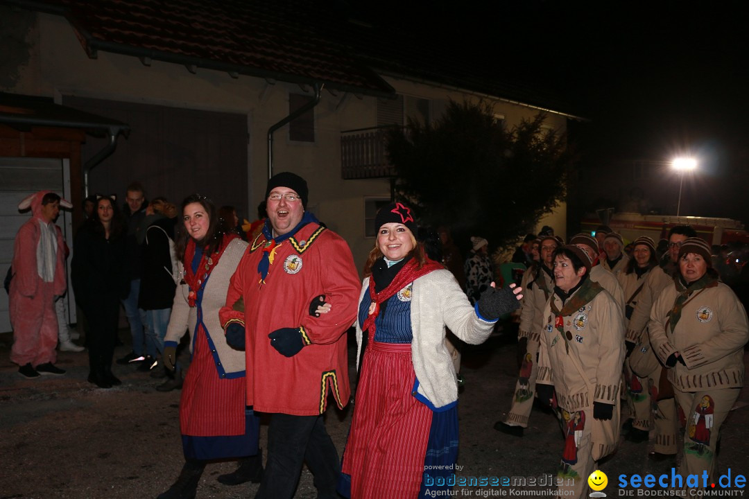 Nachtumzug: Wahlwies am Bodensee, 21.01.2017