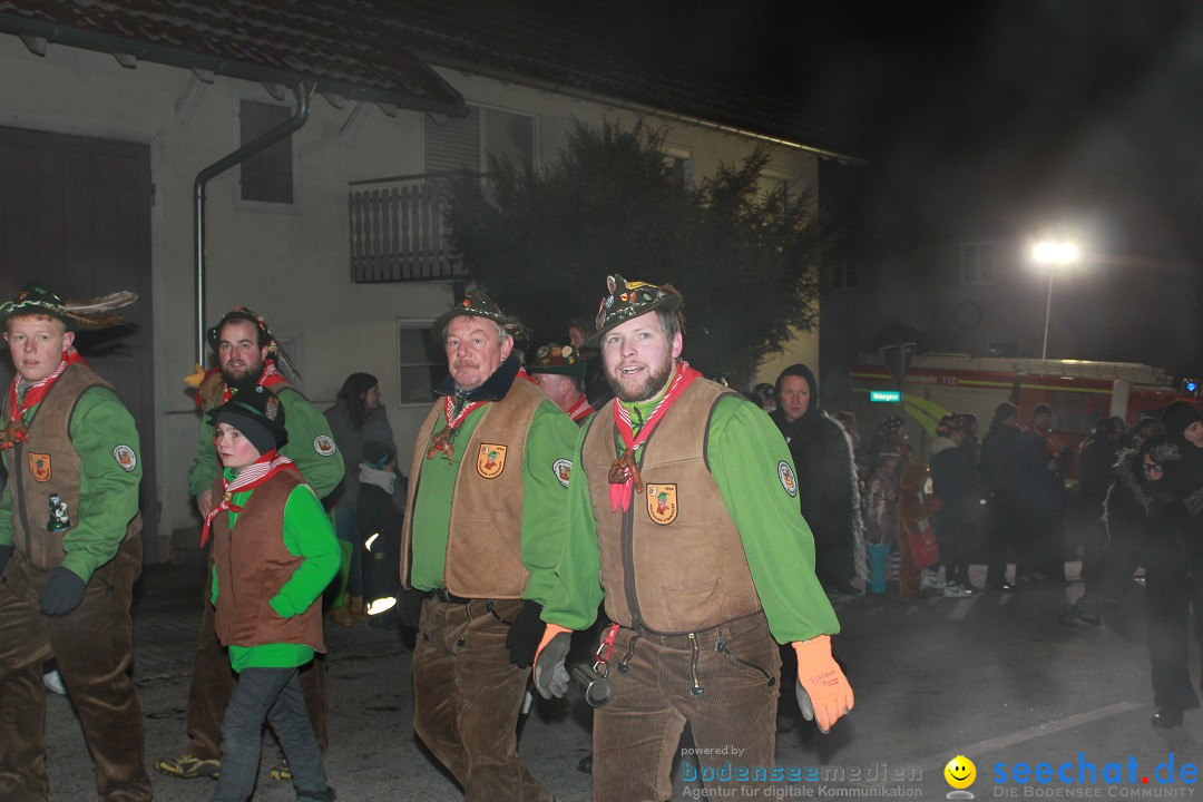 Nachtumzug: Wahlwies am Bodensee, 21.01.2017