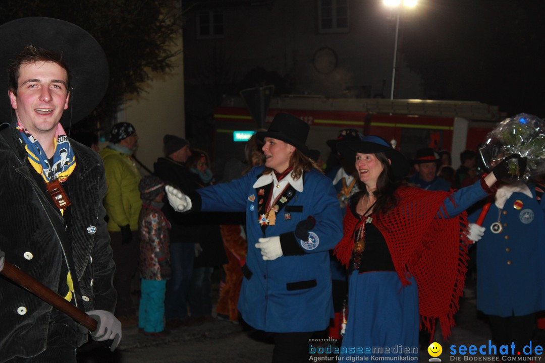 Nachtumzug: Wahlwies am Bodensee, 21.01.2017
