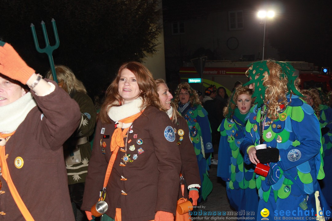 Nachtumzug: Wahlwies am Bodensee, 21.01.2017