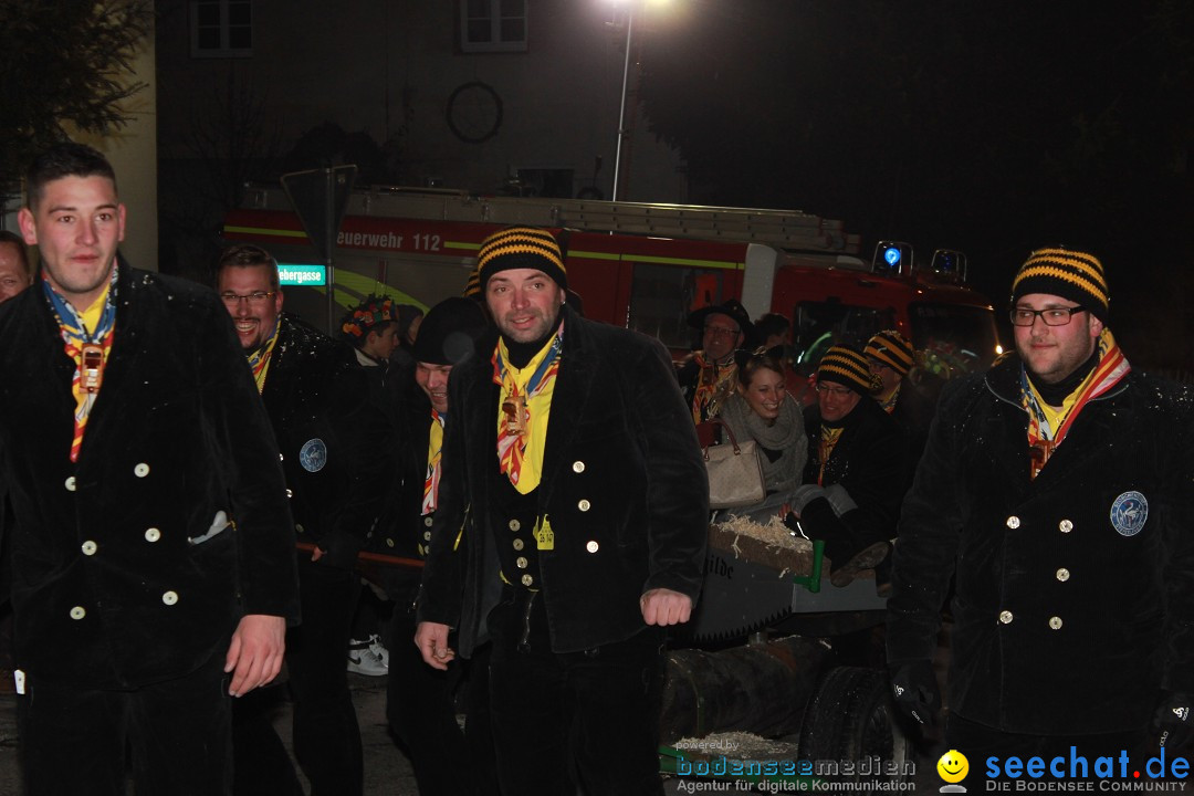 Nachtumzug: Wahlwies am Bodensee, 21.01.2017