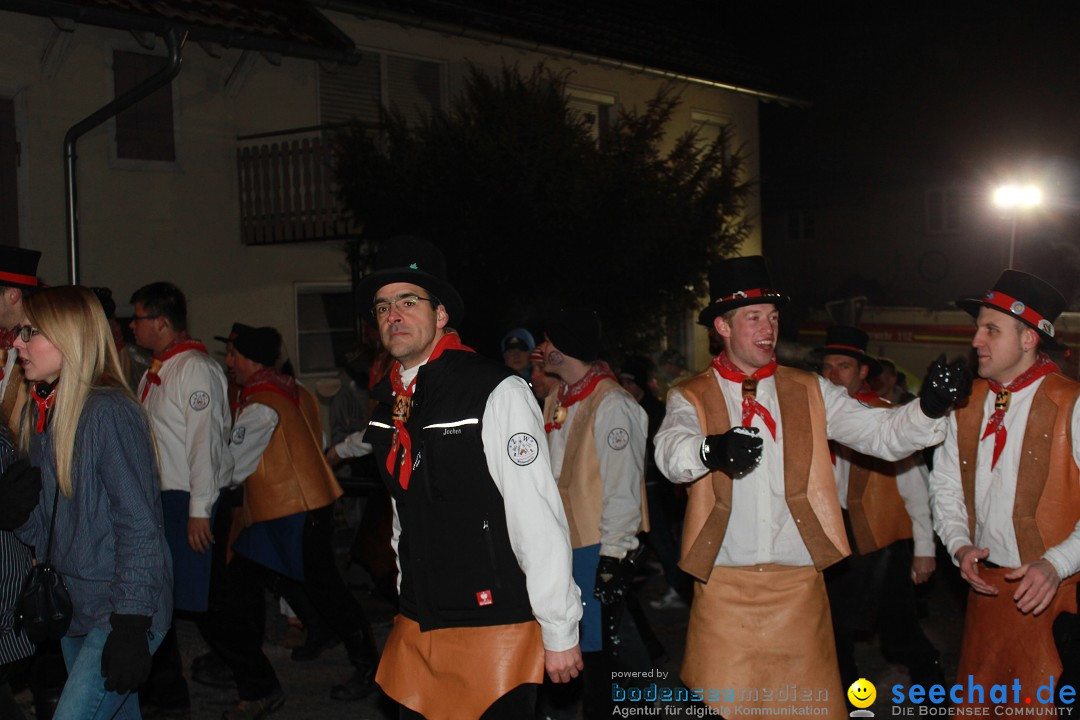 Nachtumzug: Wahlwies am Bodensee, 21.01.2017
