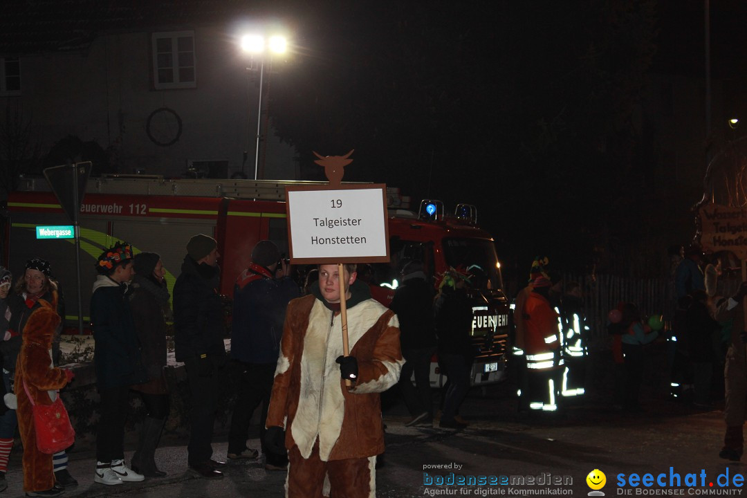 Nachtumzug: Wahlwies am Bodensee, 21.01.2017