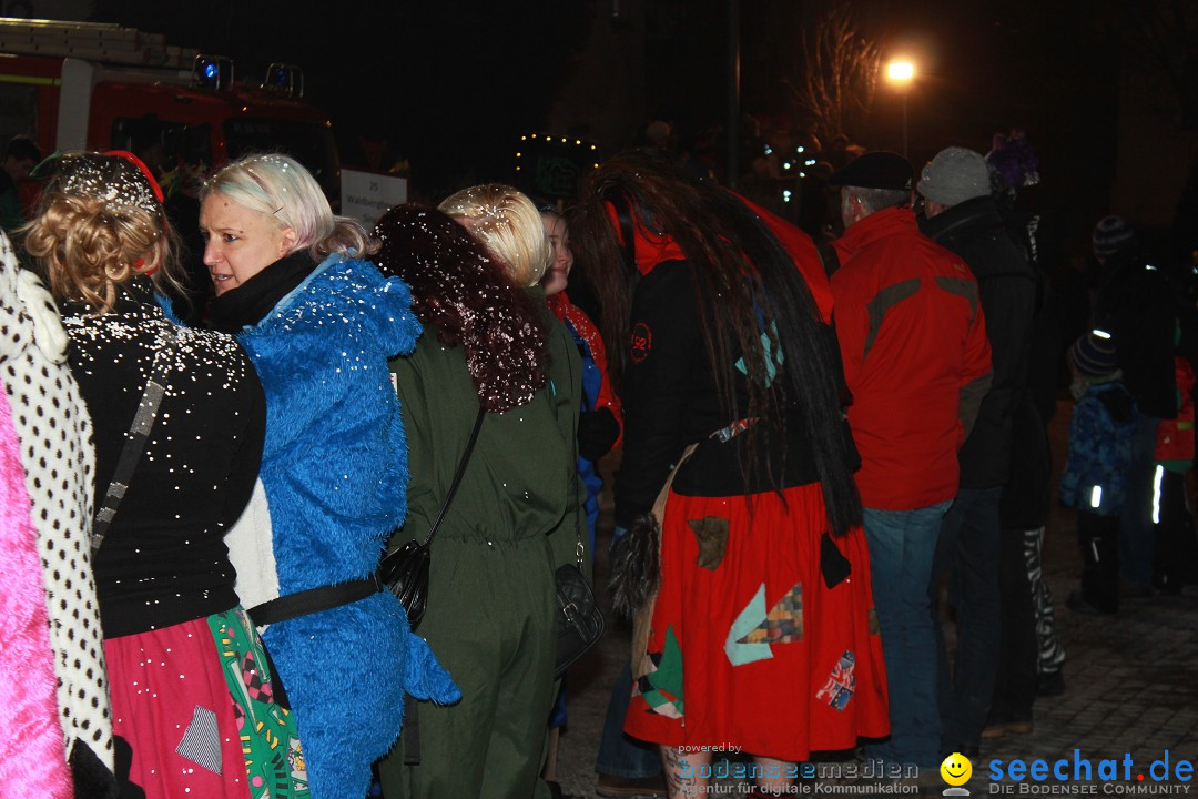 Nachtumzug: Wahlwies am Bodensee, 21.01.2017