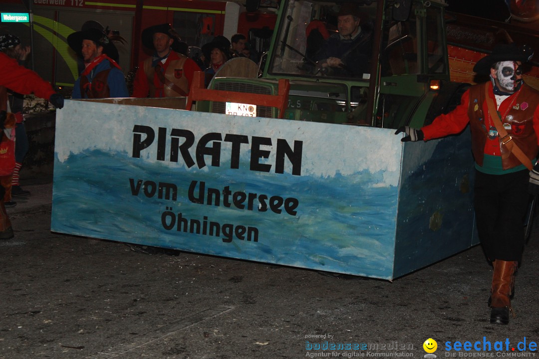 Nachtumzug: Wahlwies am Bodensee, 21.01.2017