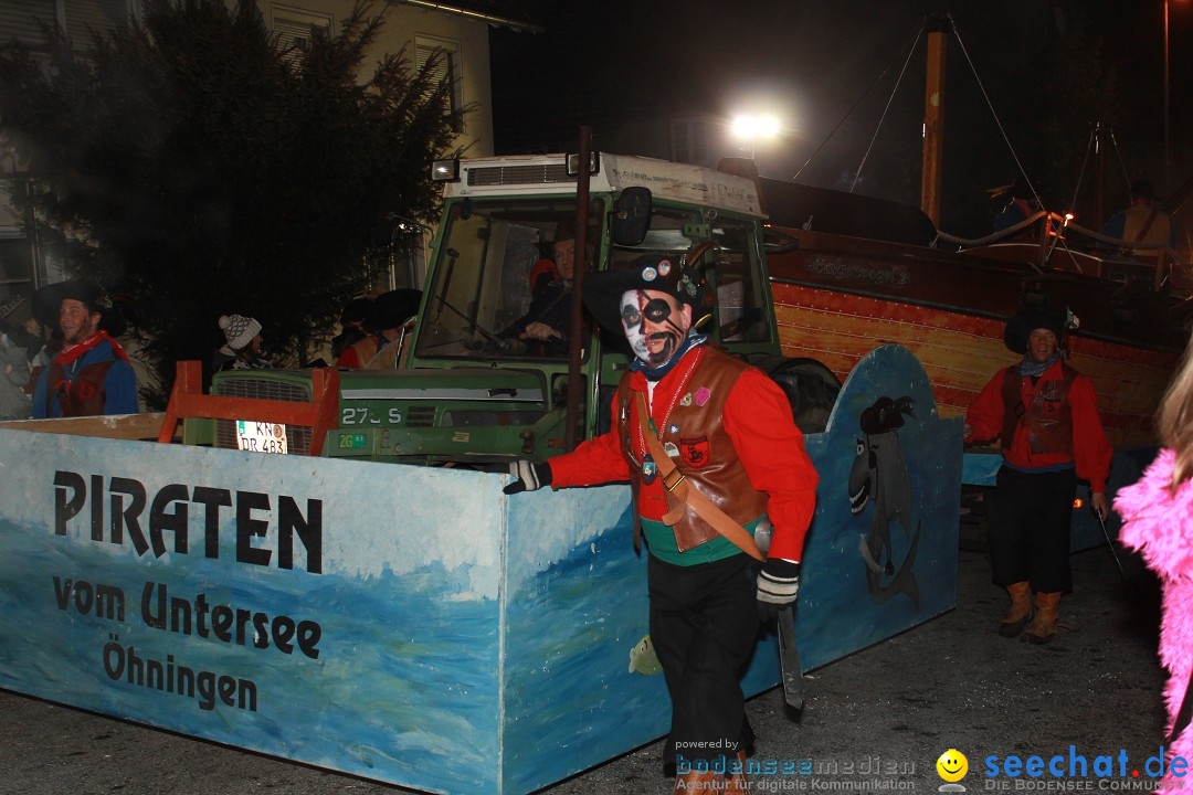 Nachtumzug: Wahlwies am Bodensee, 21.01.2017