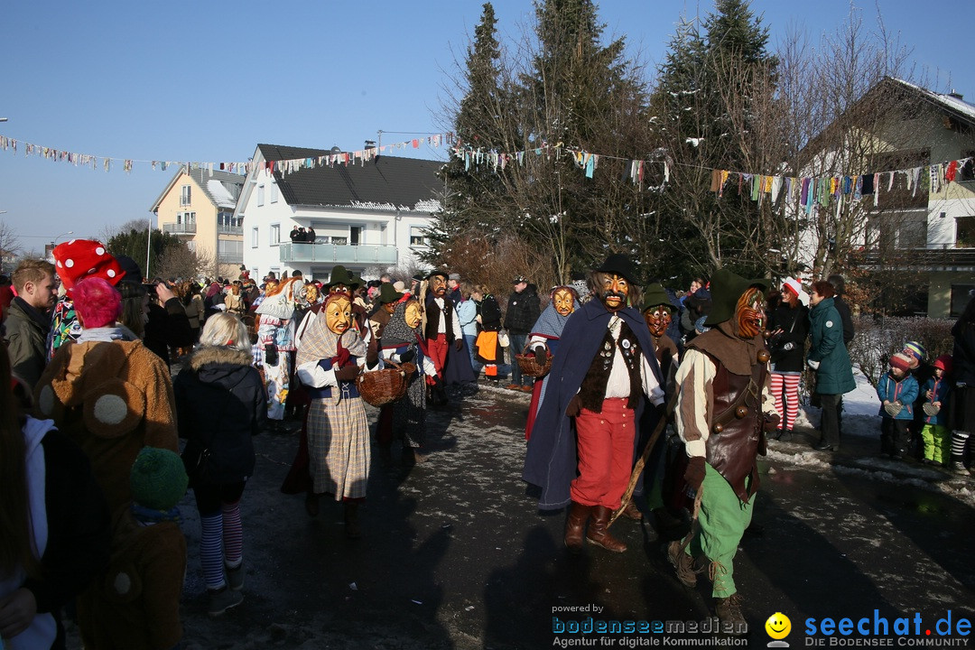 Fastnachtsumzug: Horgenzell bei Ravensburg am Bodensee, 22.01.2017