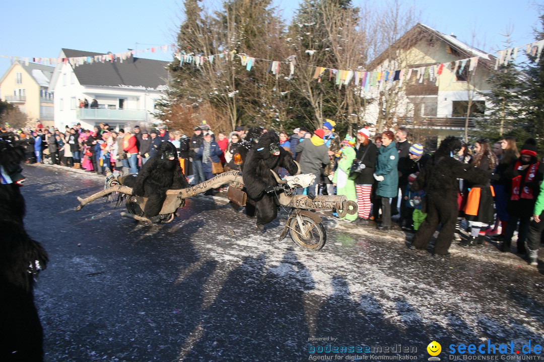 Fastnachtsumzug: Horgenzell bei Ravensburg am Bodensee, 22.01.2017