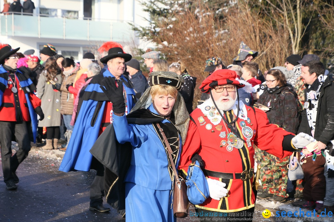 Fastnachtsumzug: Horgenzell bei Ravensburg am Bodensee, 22.01.2017
