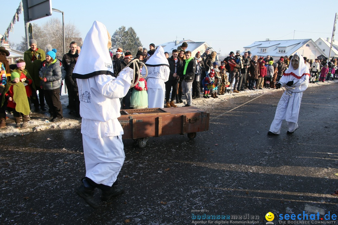 Fastnachtsumzug: Horgenzell bei Ravensburg am Bodensee, 22.01.2017