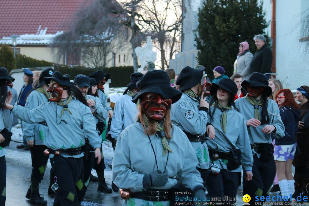 Daemmerungsumzug-Herdwangen-28-01-2017-Bodensee-Community-SEECHAT_de-IMG_1284.JPG