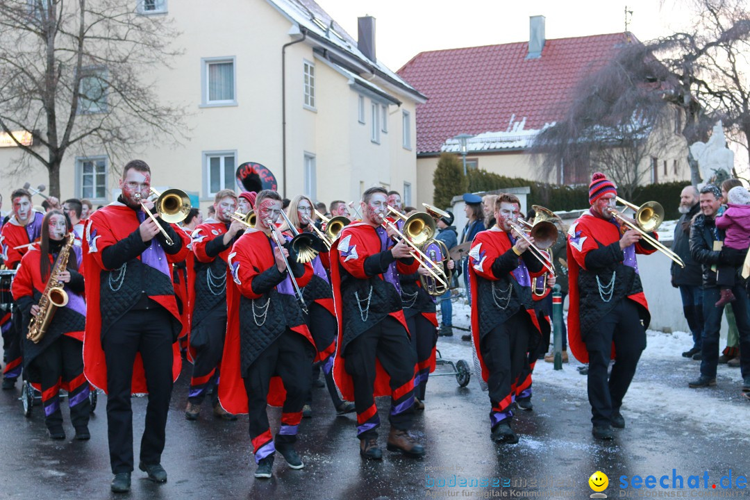 Daemmerungsumzug-Herdwangen-28-01-2017-Bodensee-Community-SEECHAT_de-IMG_1291.JPG