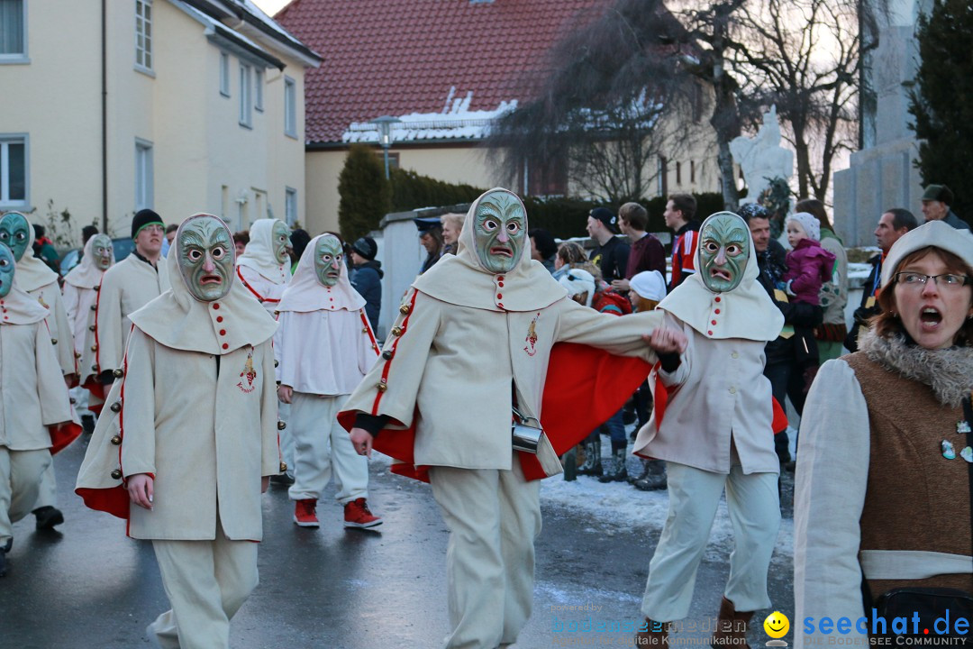 Daemmerungsumzug-Herdwangen-28-01-2017-Bodensee-Community-SEECHAT_de-IMG_1299.JPG