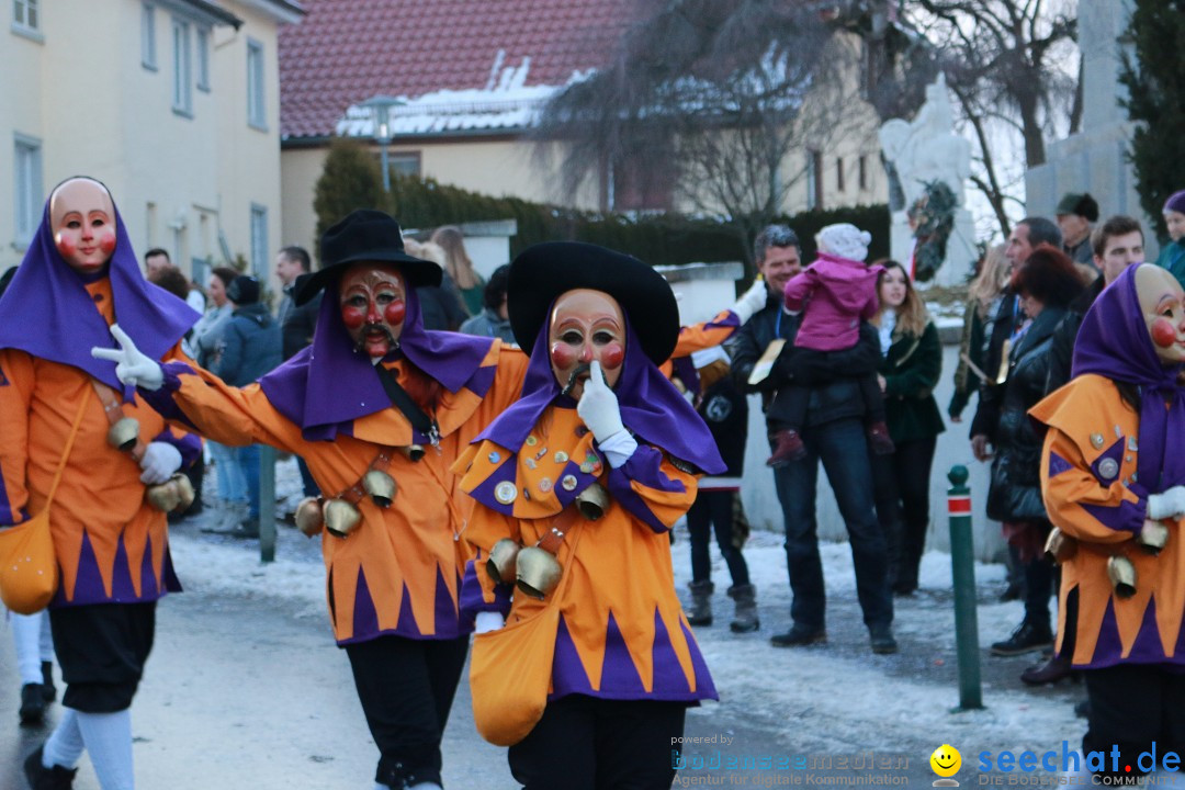 Daemmerungsumzug-Herdwangen-28-01-2017-Bodensee-Community-SEECHAT_de-IMG_1338.JPG