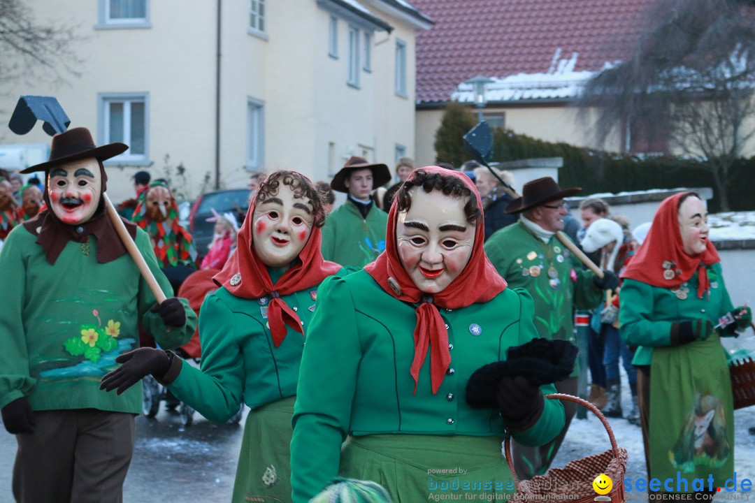 Daemmerungsumzug-Herdwangen-28-01-2017-Bodensee-Community-SEECHAT_de-IMG_1347.JPG