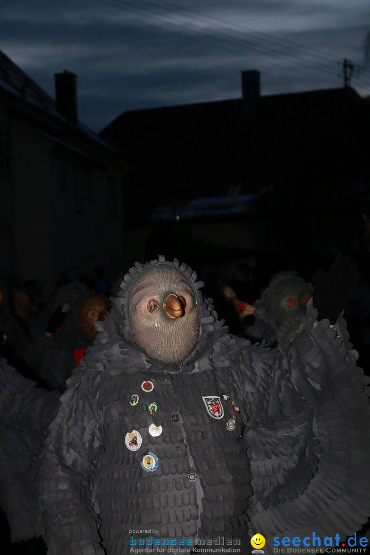Daemmerungsumzug-Herdwangen-28-01-2017-Bodensee-Community-SEECHAT_de-IMG_1399.JPG