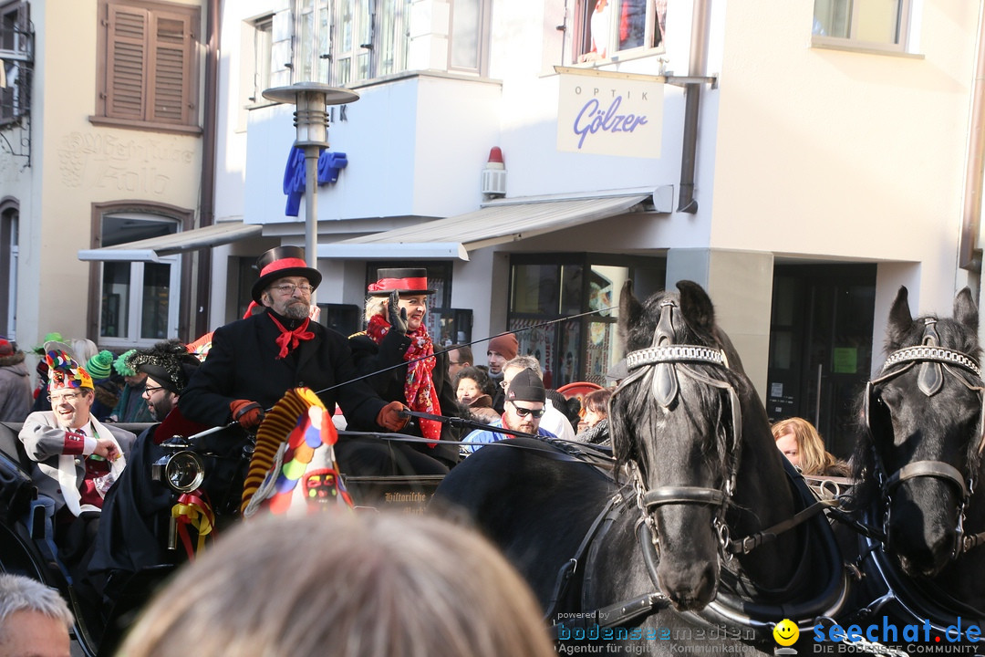 Landschaftstreffen der Fasnachtslandschaft: Markdorf am Bodensee, 29.01.201