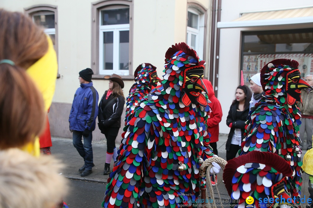 Landschaftstreffen der Fasnachtslandschaft: Markdorf am Bodensee, 29.01.201