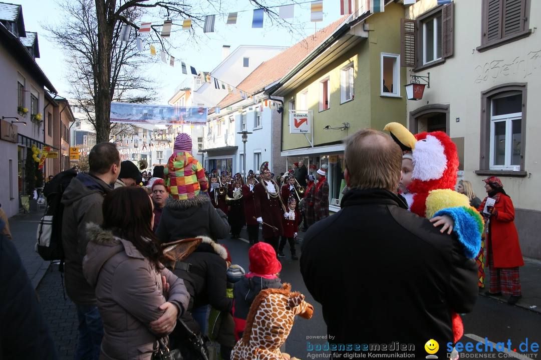 Landschaftstreffen der Fasnachtslandschaft: Markdorf am Bodensee, 29.01.201