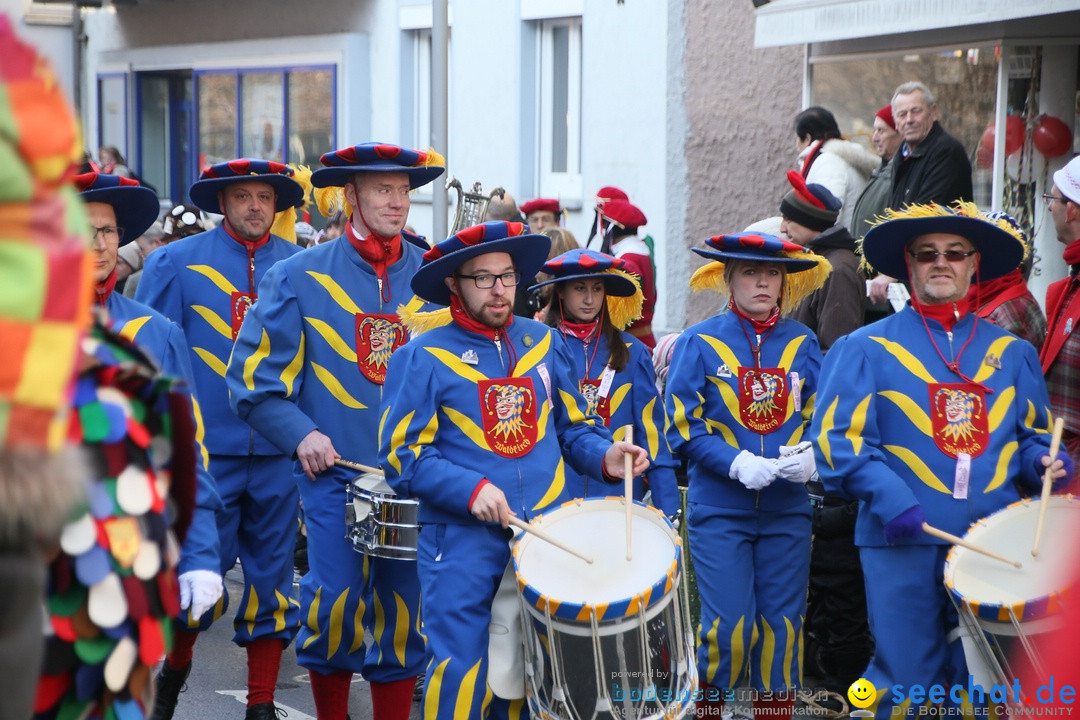 Landschaftstreffen der Fasnachtslandschaft: Markdorf am Bodensee, 29.01.201