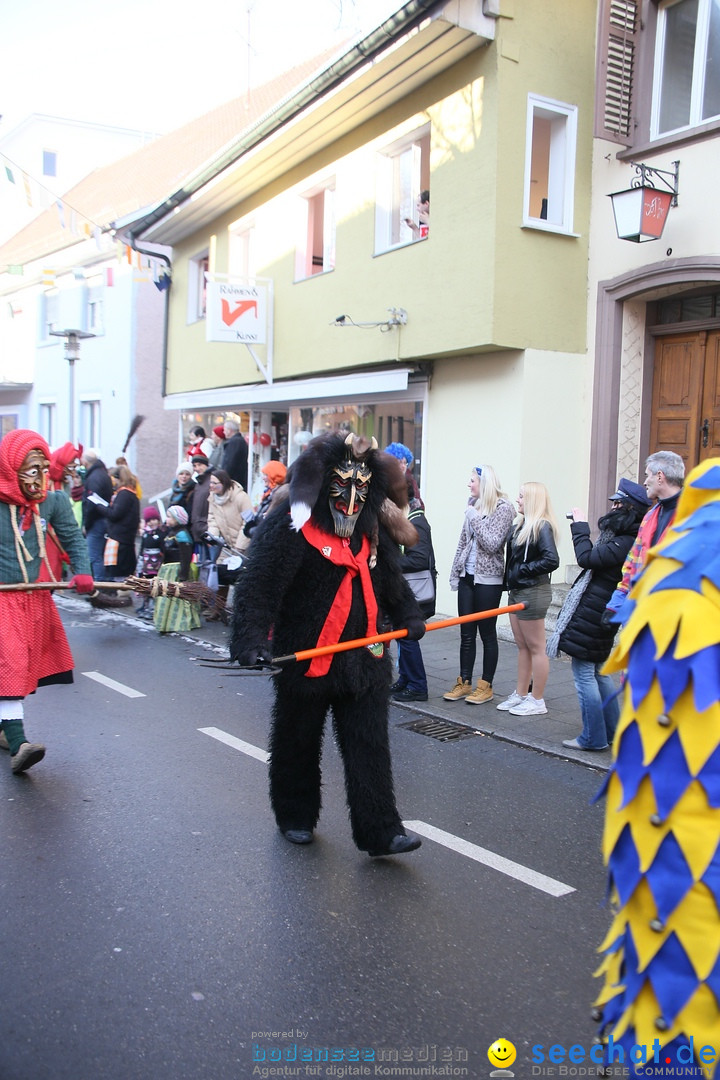 Landschaftstreffen der Fasnachtslandschaft: Markdorf am Bodensee, 29.01.201