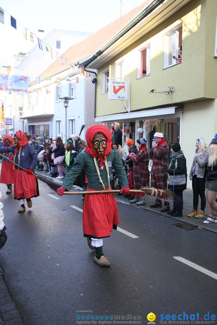 Landschaftstreffen der Fasnachtslandschaft: Markdorf am Bodensee, 29.01.201