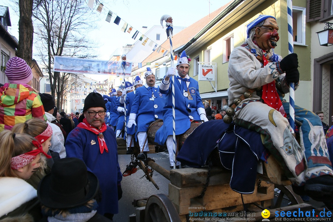 Landschaftstreffen der Fasnachtslandschaft: Markdorf am Bodensee, 29.01.201