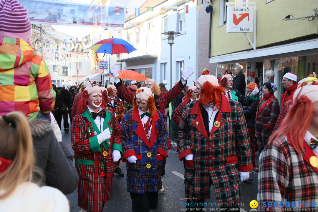 Landschaftstreffen der Fasnachtslandschaft: Markdorf am Bodensee, 29.01.201