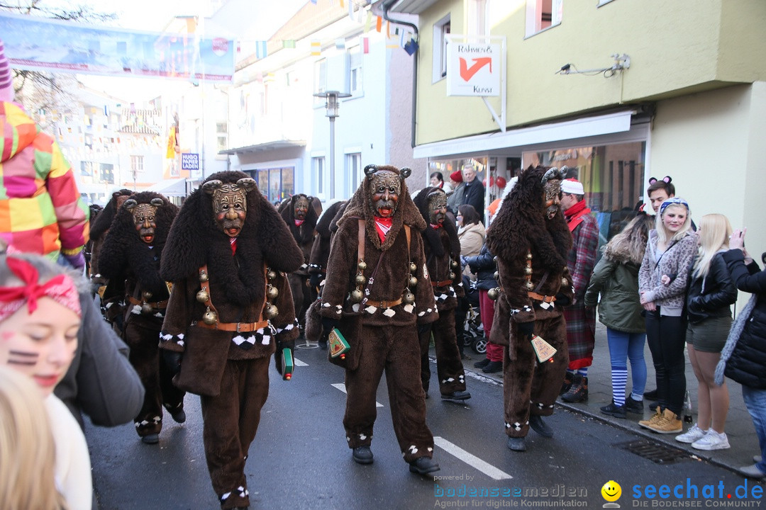 Landschaftstreffen der Fasnachtslandschaft: Markdorf am Bodensee, 29.01.201