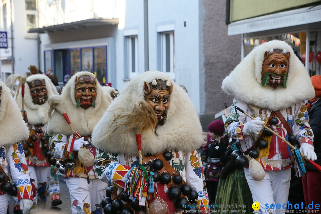 Landschaftstreffen der Fasnachtslandschaft: Markdorf am Bodensee, 29.01.201