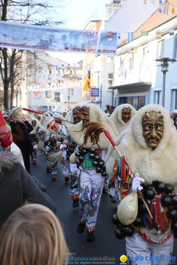 Landschaftstreffen der Fasnachtslandschaft: Markdorf am Bodensee, 29.01.201