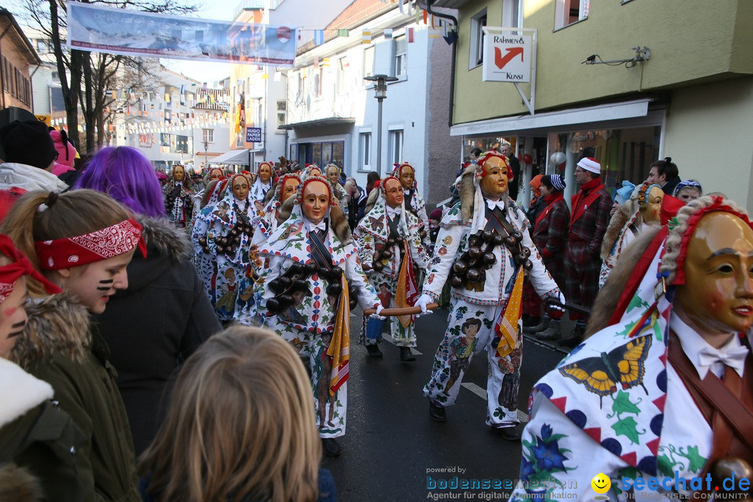 Landschaftstreffen der Fasnachtslandschaft: Markdorf am Bodensee, 29.01.201