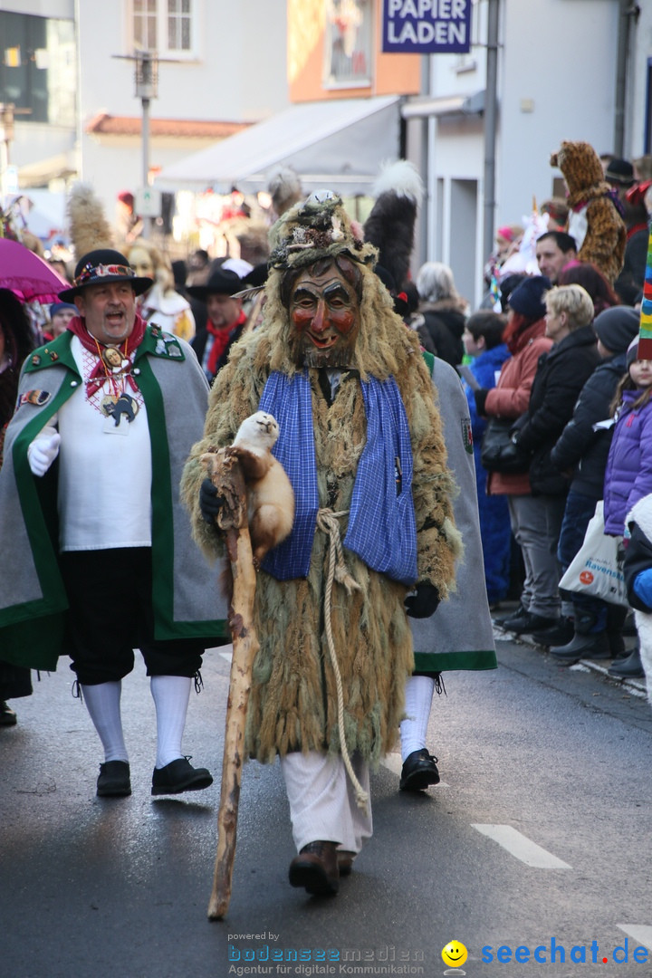 Landschaftstreffen der Fasnachtslandschaft: Markdorf am Bodensee, 29.01.201