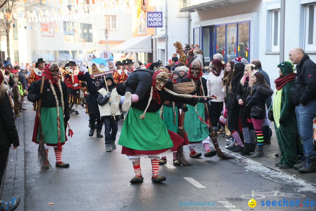 Landschaftstreffen der Fasnachtslandschaft: Markdorf am Bodensee, 29.01.201