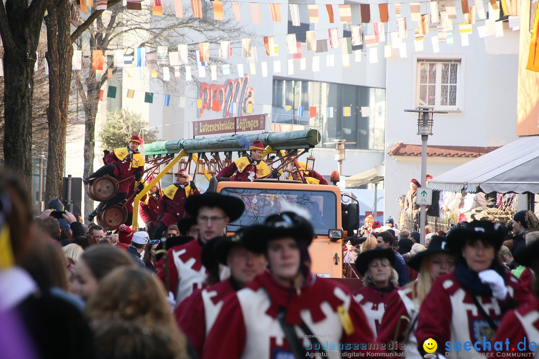 Landschaftstreffen der Fasnachtslandschaft: Markdorf am Bodensee, 29.01.201