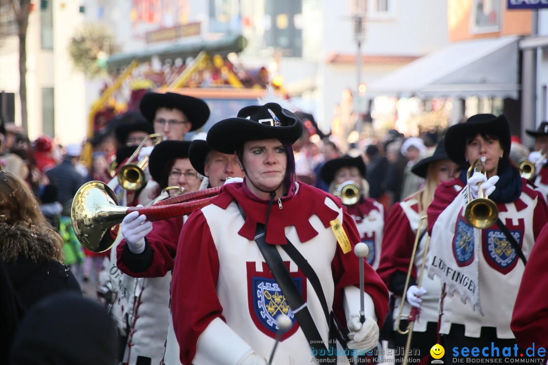 Landschaftstreffen der Fasnachtslandschaft: Markdorf am Bodensee, 29.01.201