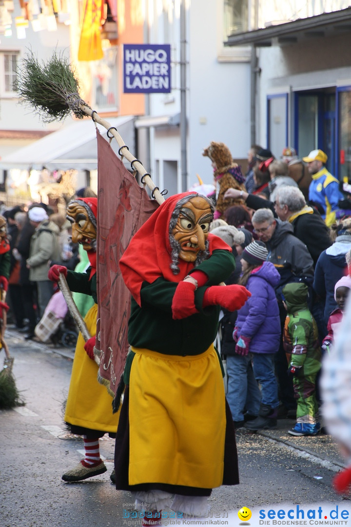Landschaftstreffen der Fasnachtslandschaft: Markdorf am Bodensee, 29.01.201