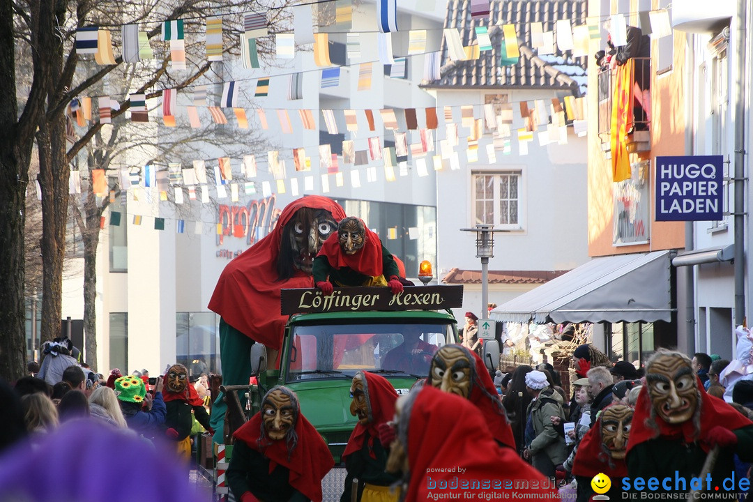 Landschaftstreffen der Fasnachtslandschaft: Markdorf am Bodensee, 29.01.201